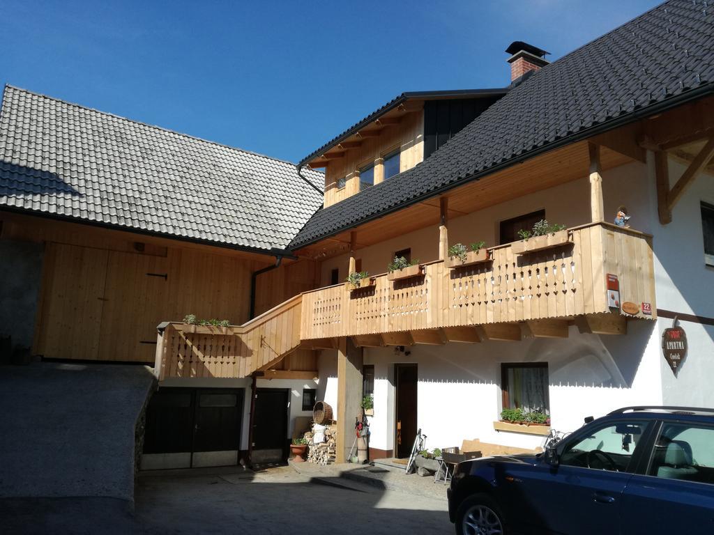 Apartment Ivanka Cvetek Bohinj Zewnętrze zdjęcie