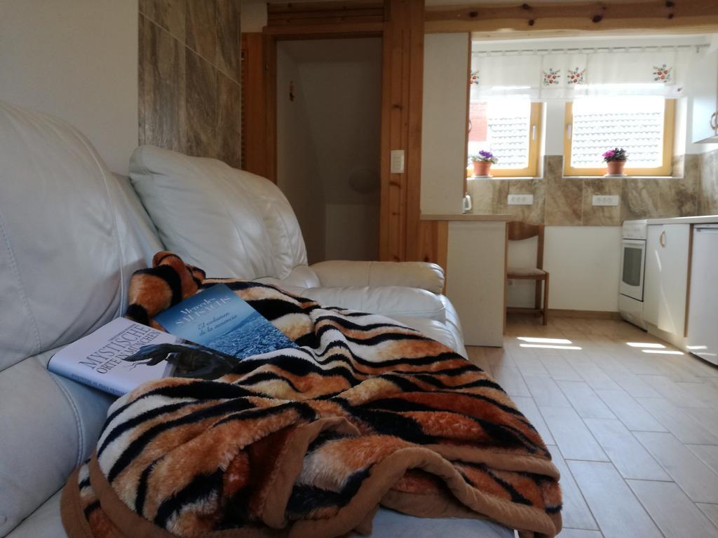 Apartment Ivanka Cvetek Bohinj Zewnętrze zdjęcie