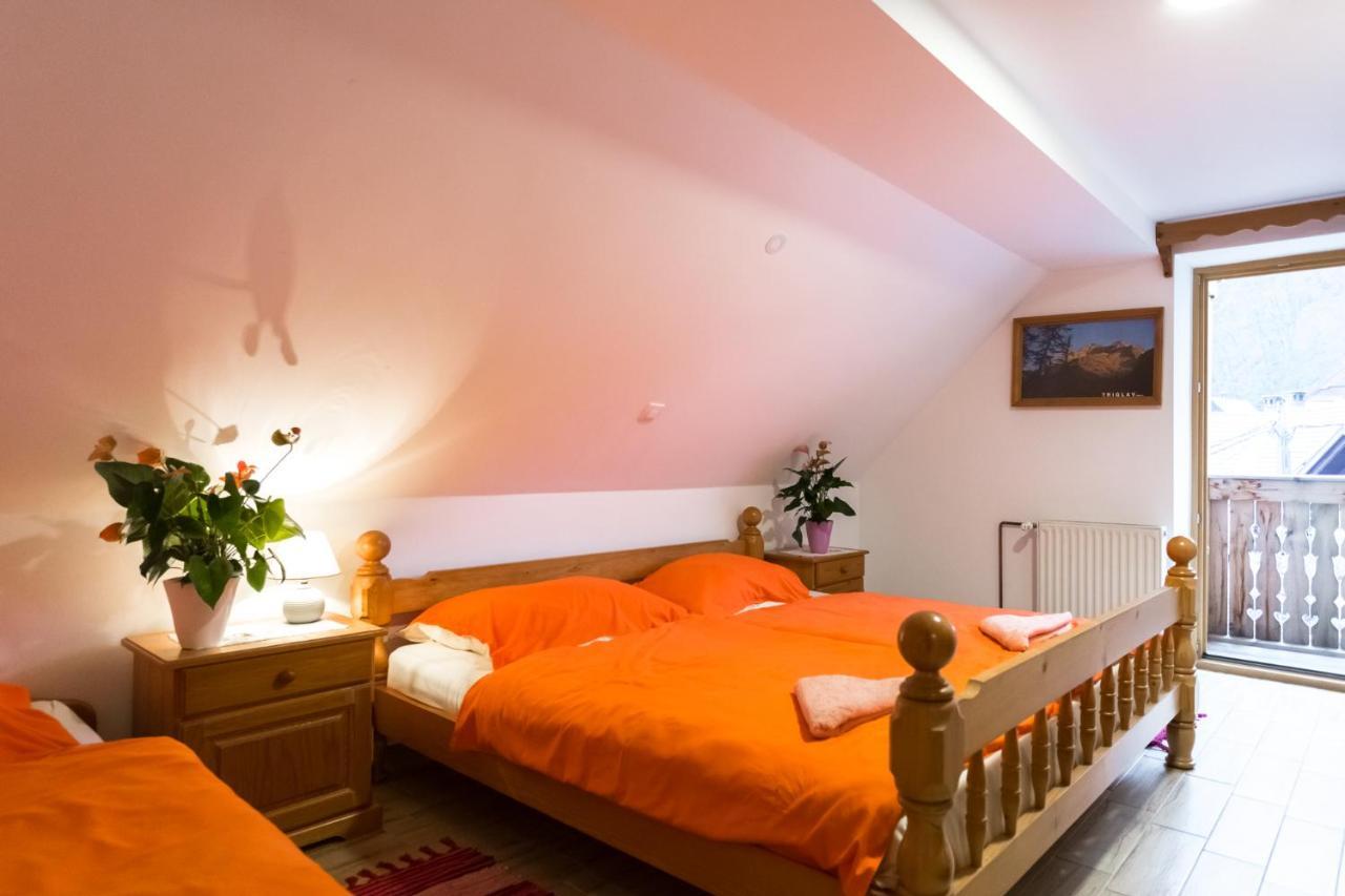 Apartment Ivanka Cvetek Bohinj Zewnętrze zdjęcie